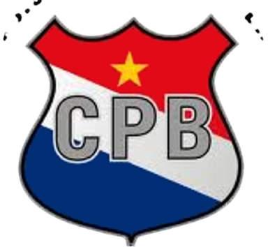 巴拉女联比赛图标